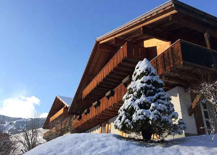 M シャレー グリンデルヴァルト